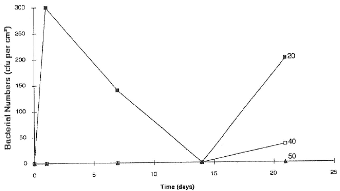 Comparaison de la colonisation du cuivre par L. pneumophila à 20, 40 et 50°C dans l’eau modérément dure