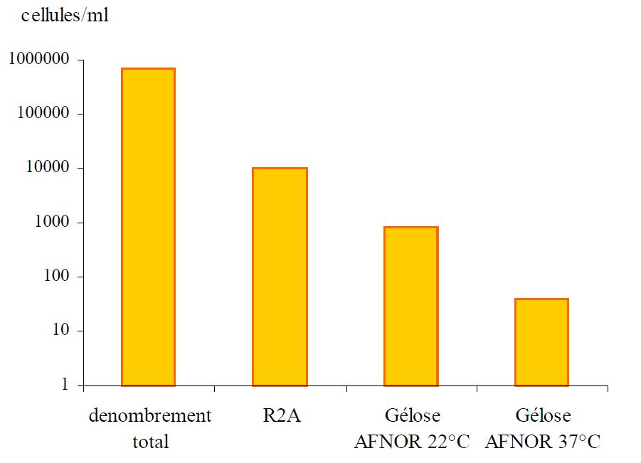 Comparaison des dénombrements bactériens d’eau de réseau en utilisant les méthodes normalisées (gélose AFNOR 22°C, 72 heures et gélose AFNOR 37°C, 24 heures), des méthodes moins sélectives (gélose R2A 22°C, 7 jours) et le dénombrement total (épifluorescence au microscope) Comparaison des dénombrements bactériens d’eau de réseau en utilisant les méthodes normalisées (gélose AFNOR 22°C, 72 heures et gélose AFNOR 37°C, 24 heures), des méthodes moins sélectives (gélose R2A 22°C, 7 jours) et le dénombrement total (épifluorescence au microscope)