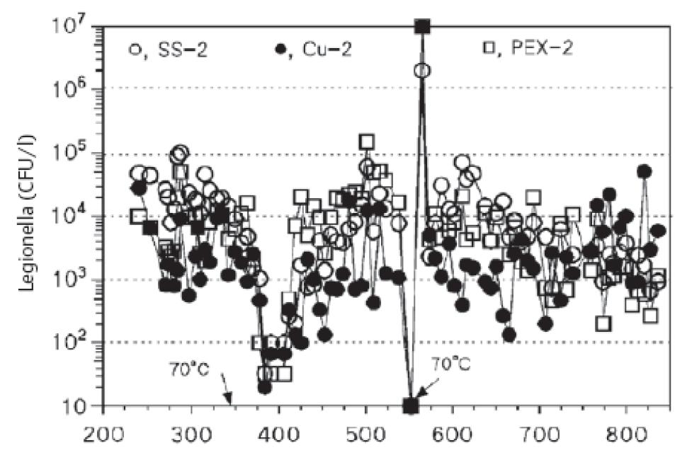 Concentrations de Legionella dans l’eau collectée des canalisations en acier inoxydable (SS), en cuivre (Cu) et en polyéthylène réticulé (PEX) durant la période de simulation domestique d’utilisation de l’eau