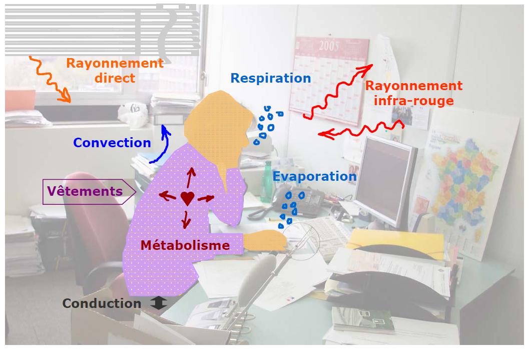 L’interaction thermique entre le corps humain et son environnement