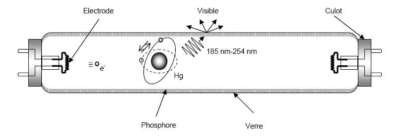 Coupe schématique d’une lampe fluorescente tubulaire classique