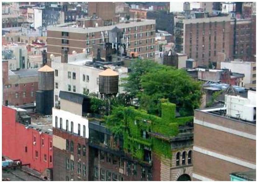 Exemple d’intégration de la végétalisation des toits en milieu urbain, à Manhattan Exemple d’intégration de la végétalisation des toits en milieu urbain, à Manhattan