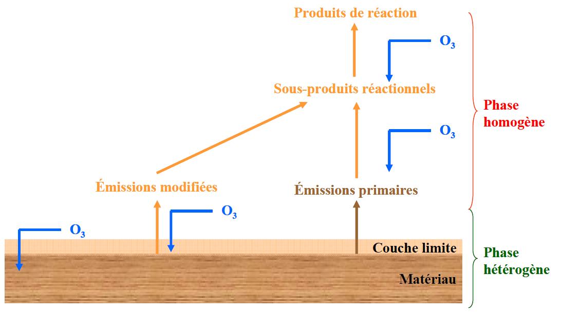 Interactions entre l’ozone et les matériaux dans les environnements intérieurs Interactions entre l’ozone et les matériaux dans les environnements intérieurs
