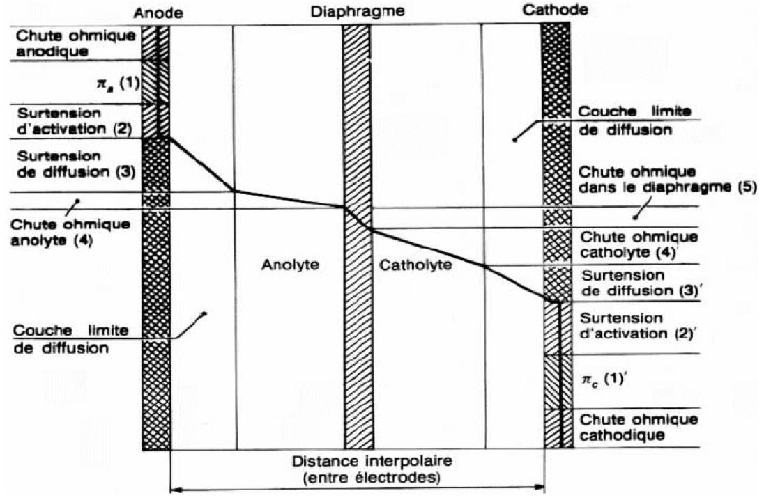 Irréversibilités présentes dans une cellule d'électrolyse