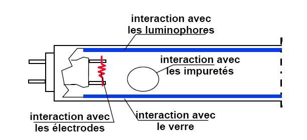 Principaux mécanismes de disparition du mercure
