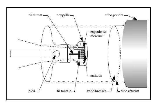 Pied avec électrode et capsule de mercure