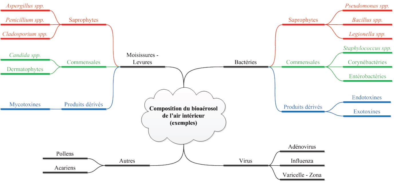 Schéma heuristique des principaux bioaérosols dans l’air intérieur Schéma heuristique des principaux bioaérosols dans l’air intérieur