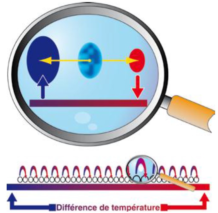 Principe de la compression/ détente du gaz par l’onde thermoacoustique et échange avec la paroi Principe de la compression/ détente du gaz par l’onde thermoacoustique et échange avec la paroi