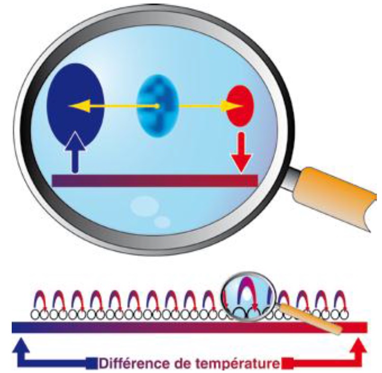 Principe de la compression/ détente du gaz par l’onde thermoacoustique et échange avec la paroi