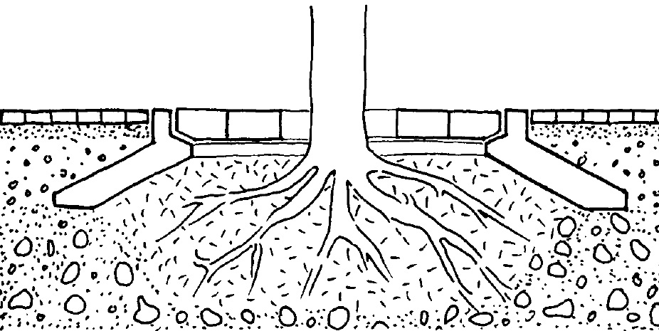 Protection des pieds d’arbres