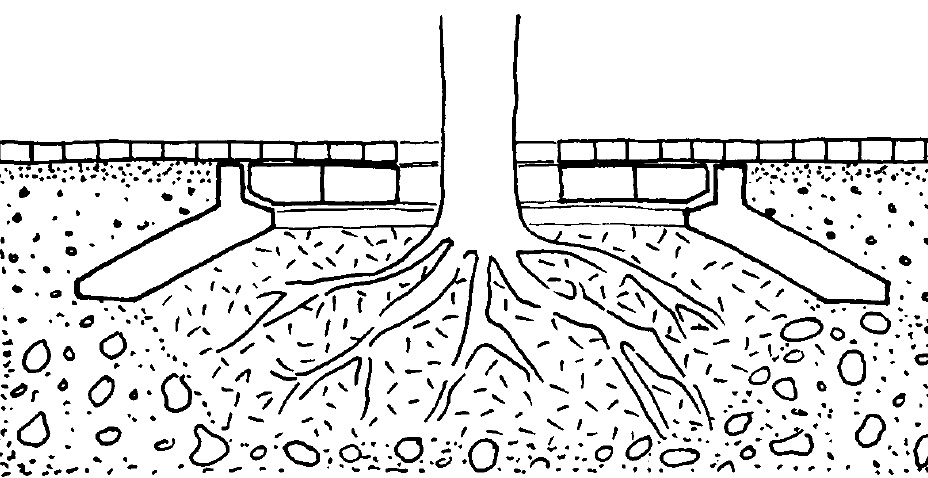 Protection des pieds d’arbres