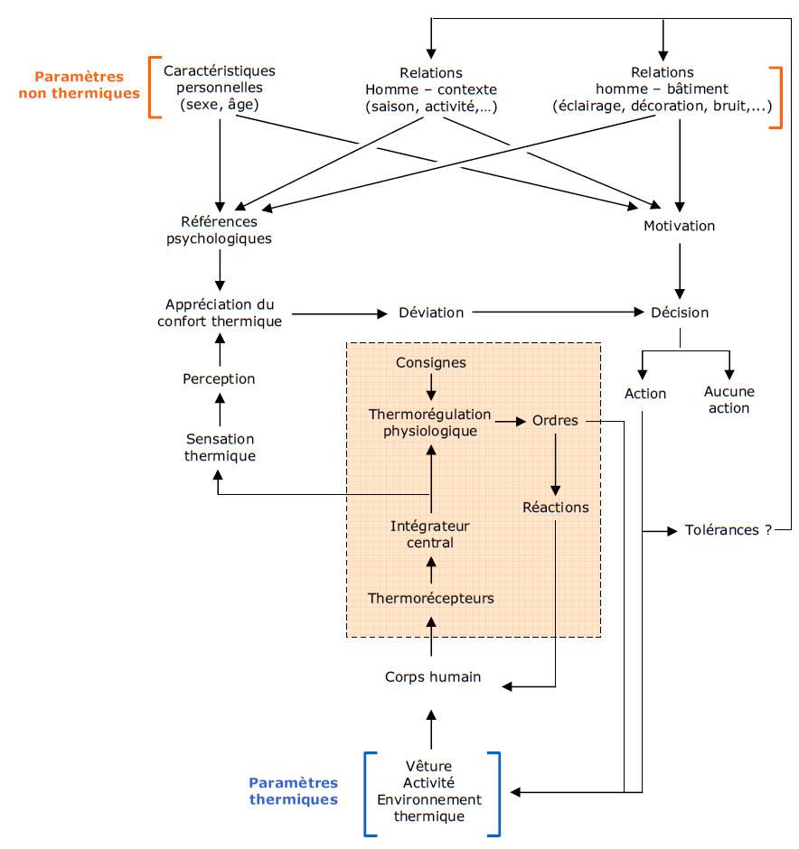 La relation globale entre une personne et son environnement [Berger 1995].