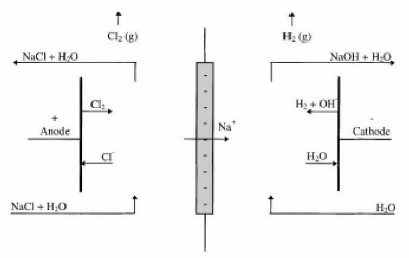 Représentation d’une cellule du procédé Chlore-Soude Représentation d’une cellule du procédé Chlore-Soude