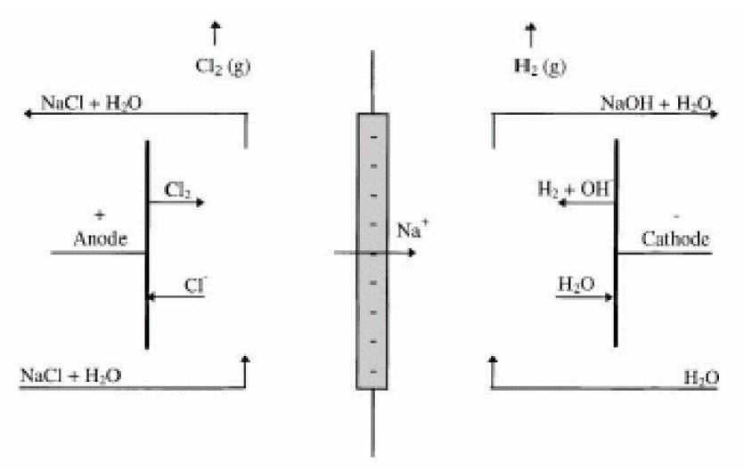 Représentation d’une cellule du procédé Chlore-Soude