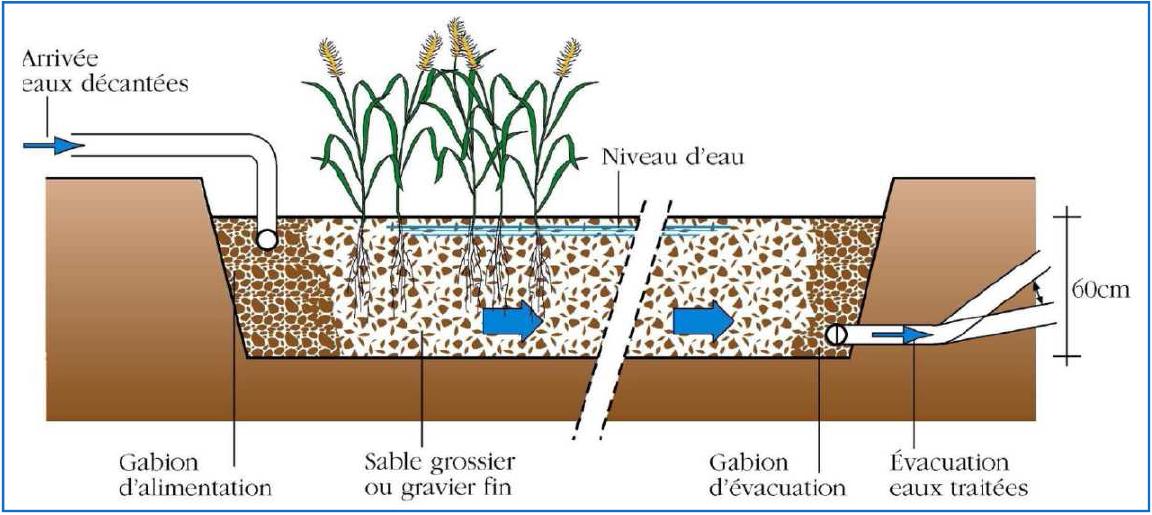 Schéma d'un filtre planté à écoulement horizontal