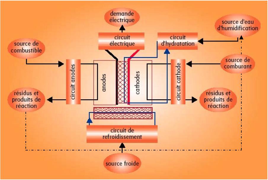 Schéma d'une pile à combustible de type PEMFC Schéma d'une pile à combustible de type PEMFC