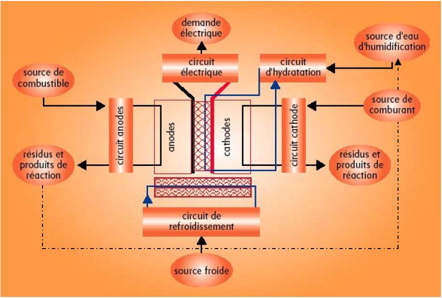 Schéma d'une pile à combustible de type PEMFC