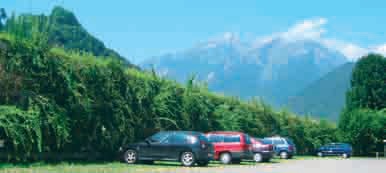 Talus raidis et végétalisation Talus raidis et végétalisation