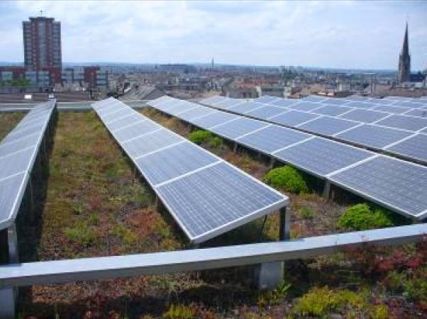 Toiture végétale avec des modules photovoltaïques