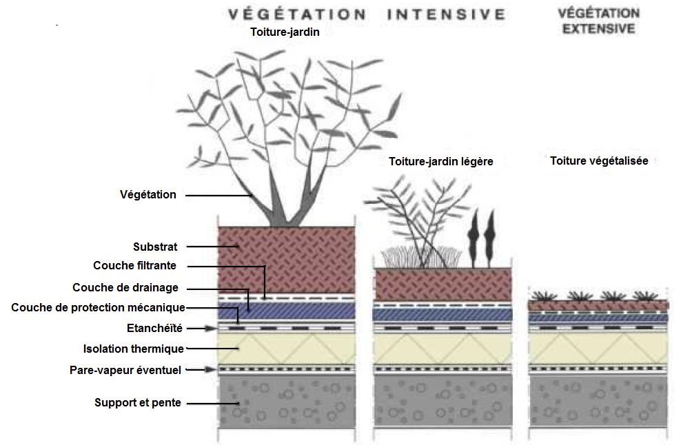Type de végétation d'une toiture végétalisée Type de végétation d'une toiture végétalisée