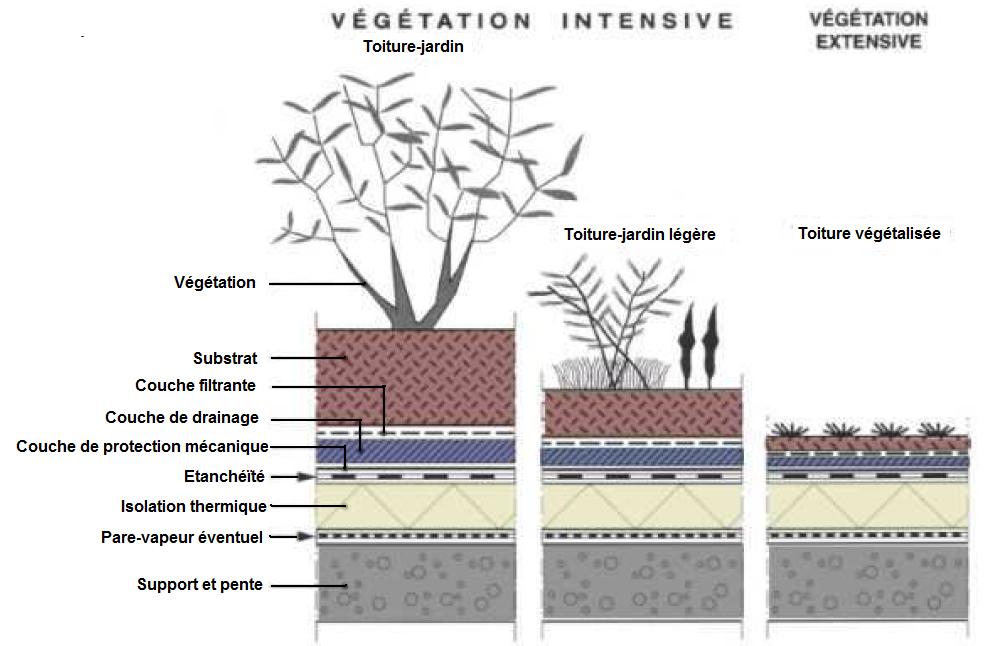 Type de végétation d'une toiture végétalisée