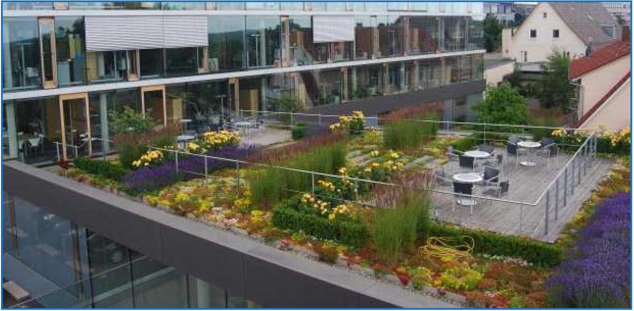 Toiture végétalisée optigreen Toiture végétalisée optigreen
