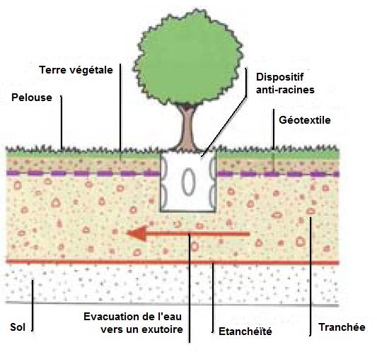 Réalisation d’une tranchée avec arbre et dispositif anti-racines