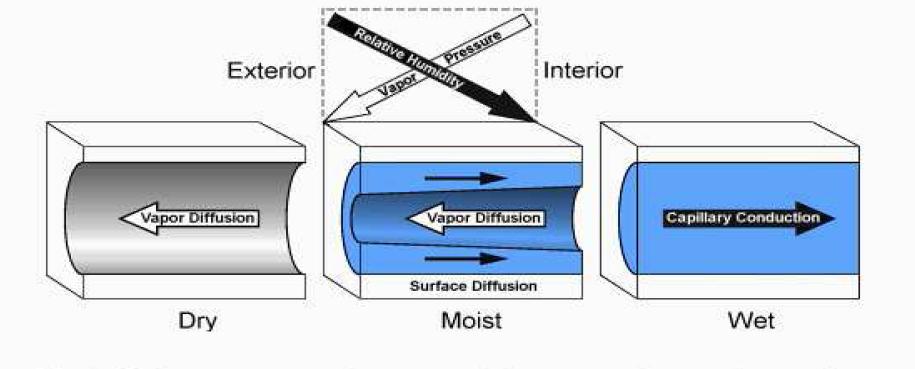 Phénomènes de transport d'humidité dans les pores d'un mur massif extérieur en hiver, pour différents niveaux de contenu d'humidité